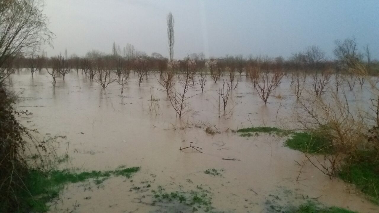 آسیب دیدگی 15 هزار هکتار از اراضی شهرستان رزن