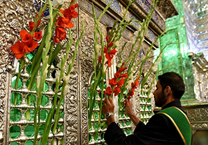 گلباران و عطر افشانی حرم مطهر شاهچراغ(ع)