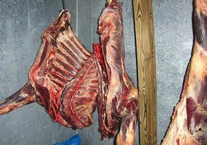 ضبط و معدوم سازی 120 کیلوگرم گوشت فاسد در روانسر