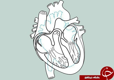 تپش قلب ورزشکاران چگونه است؟ + تصاویر