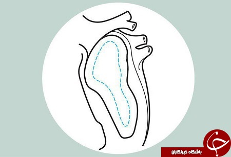 تپش قلب ورزشکاران چگونه است؟ + تصاویر
