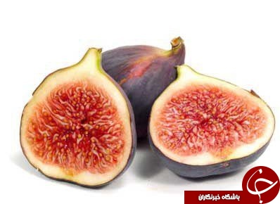 فرمول&zwnj;های غذایی خاص برای افزایش شانس باروری + اسامی