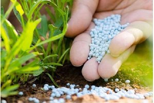 توزیع ۲۸ هزارتن کود شیمیایی بین کشاورزان زنجانی