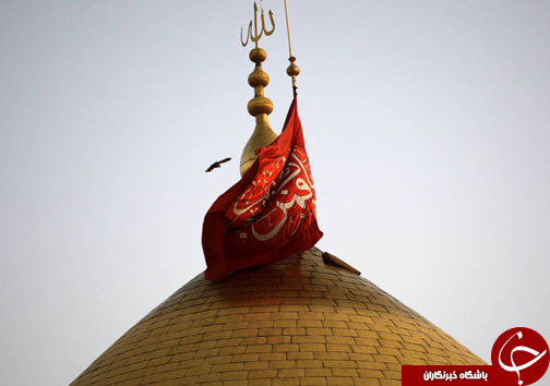 تصاویر زیبا از حرم حضرت ابوالفضل(ع)