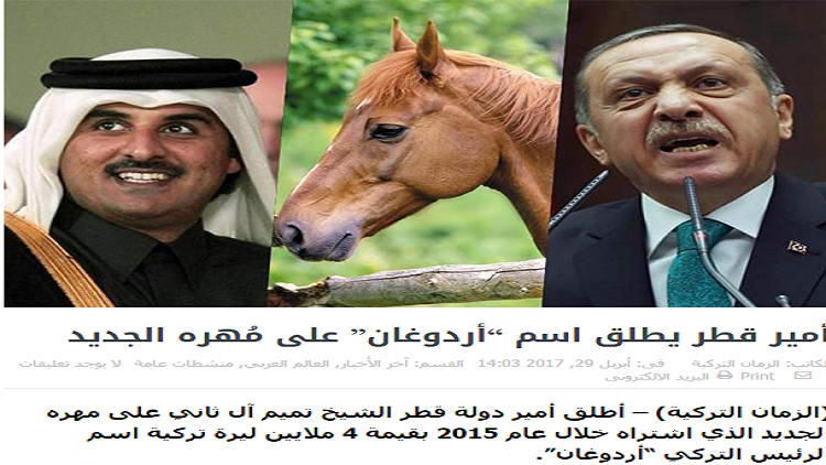 امیر قطر نام 