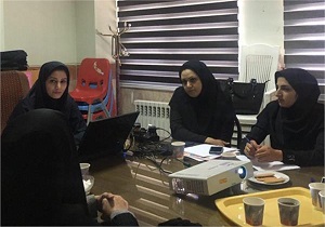 برگزاری کارگاه آموزشی ضوابط برچسب گذاری و نشانگر رنگی تغذیه ای