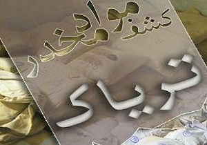 کشف بیش از دو کیلوگرم مواد مخدر