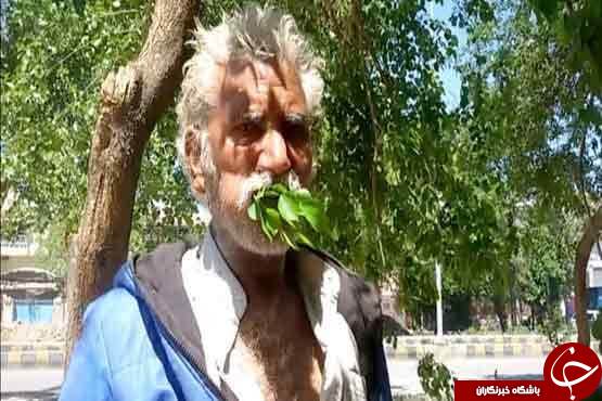 مردی که درختان با دیدن او لرزه بر قامتشان می&zwnj;افتد