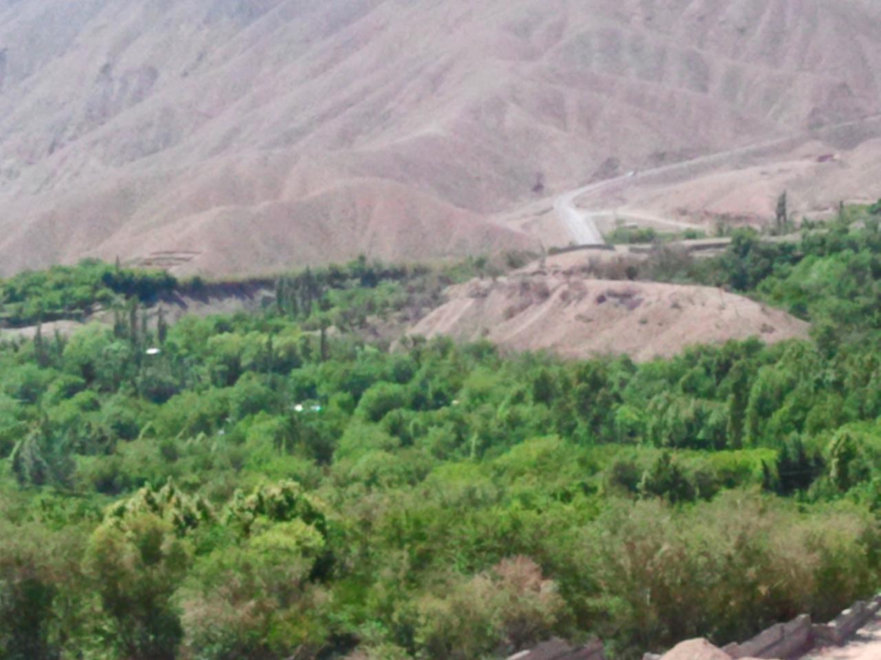 سیرچ دهستانی زیبا با درختان سردسیری