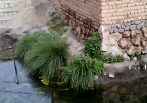 گلایه ساکنین از ساختمان مزاحم در چشمه + فیلم