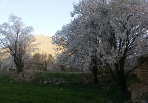 تصاویری از طبیعت زیبای &laquo;گلپایگان&raquo;
