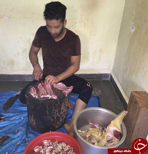 خوردن گوشت سگ در لشکرآباد شایعه یا واقعیت؟+تصاویر
