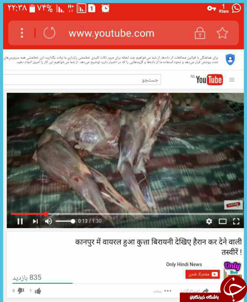 خوردن گوشت سگ در لشکرآباد شایعه یا واقعیت؟+تصاویر