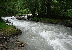 نقش حیاتی آب در اشتغال زایی کردستان