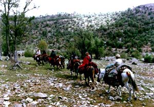 طنین صدای پای کوچ عشایر لرستان به مناطق ییلاقی