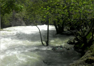 نمایی از طبیعت بهاری در «برکان» + فیلم