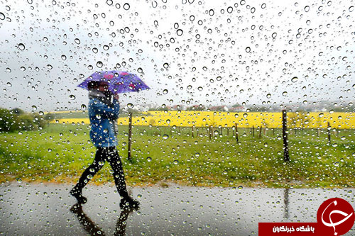 تصاویر روز: از اسلحه نیمه خودکار در دست دختربچه صهیونیست تا مسیر مهاجرت نهنگ&zwnj;ها
