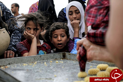 تصاویر روز: از اسلحه نیمه خودکار در دست دختربچه صهیونیست تا مسیر مهاجرت نهنگ&zwnj;ها