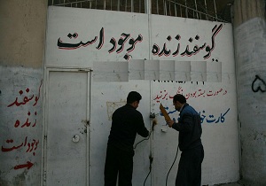 پلمپ 40 مرکز عرضه غیرمجاز دام در کرمانشاه
