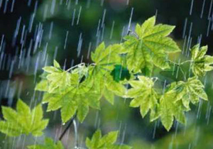 بارش رگباری در استان اصفهان همچنان ادامه خواهد داشت