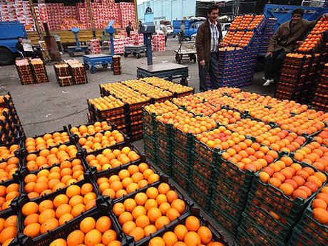 کشف 16 تن پرتقال ترکیه&zwnj;ای در میدان میوه و تره بار مادر جنوب تهران/ تشکیل پرونده تخلفاتی برای عرضه خارج از شبکه تنظیم بازار پرتقال