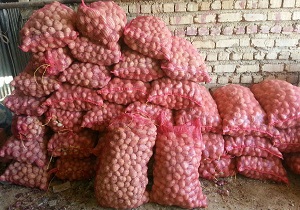 صادرات 56 میلیون دلاری از اردبیل به کشورهای همسایه