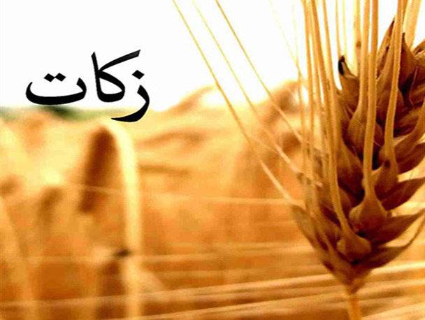 جمع آوری بیش از ۲٠٠ میلیارد تومان زکات در کشور/ افزایش 25 درصدی پرداخت زکات در سال95