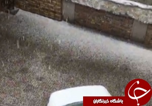 تگرگ آستارا را فراگرفت + تصاویر