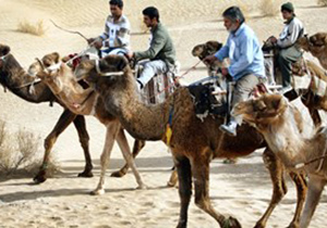 حضور 12 تیم از 6 استان در مسابقات ملی شترسواری