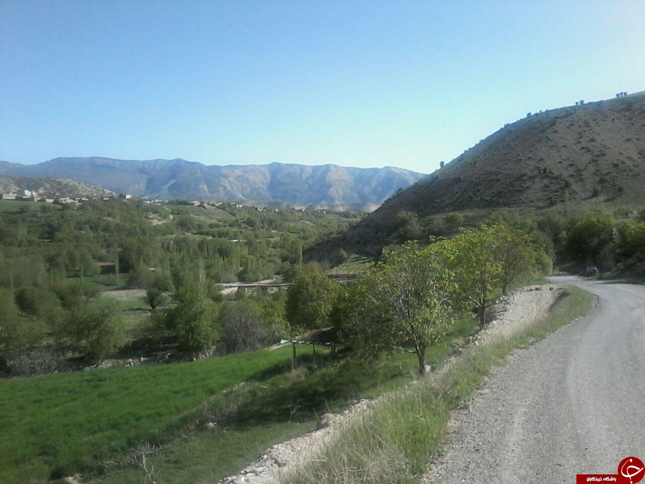 جلوه ای از طبیعت بهاری میشخاص + تصاویر