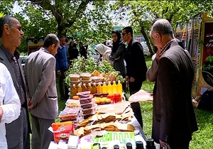 همایش ملی تغذیه طبیعی