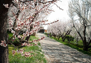 آسمان مهاباد؛صاف و آفتابی
