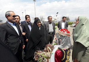 رئیس سازمان حفاظت محیط زیست وارد اردبیل شد