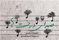 «صدای درختها» در نمایشگاه به گوش میرسد «صدای درختها» در نمایشگاه به گوش میرسد