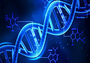 تشخیص هویت یک معدن چی با آزمایشDNA
