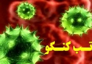 توصیه‌های بهداشتی برای پیشگیری از بیماری خطرناک تب خونریزی دهنده کریمه کنگو