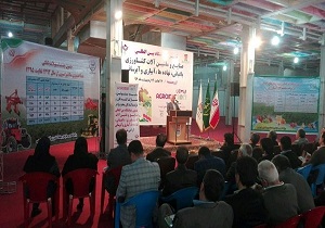 سطح زیرکشت گندم آبی کشور به ۳۶۰ هزارهکتار کاهش یافت
