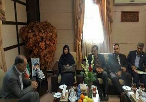 بیش از یک سوم استانداردهای کشور در دولت یازدهم تدوین شده است