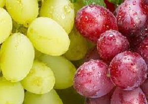 خاصیت شگفت انگیز انگور در کلام امام رضا (ع)