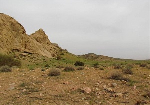 ۱۷.۵ درصد از مساحت اردبیل جزو مناطق شکار ممنوع محسوب می‌شود