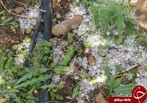 خسارت بارش تگرگ و سیل به روستاهای ضیاآباد