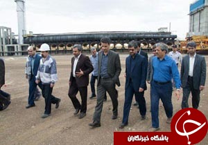 بهره برداری از کک طبس در آینده ای نزدیک