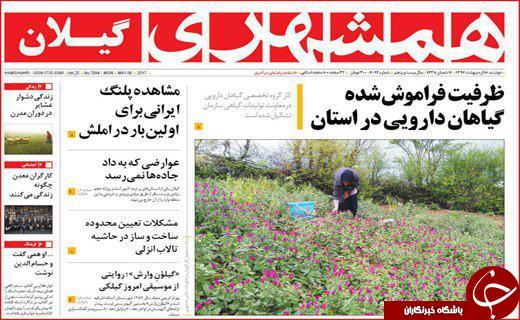 از خواب خرگوشی مدیران بی تدبیر تا ازدواج جوانان دستاویز وعده های جنجالی