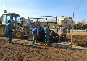 احداث فضای سبز در محوطه خانه شطرنج