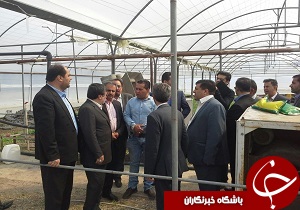 بازدید استاندار از مجتمع کشت صنعت زیاران طالقان