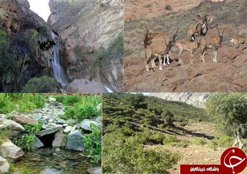هشتاد رنگ زیبا در قلب هشتاد پهلوی خرم آباد