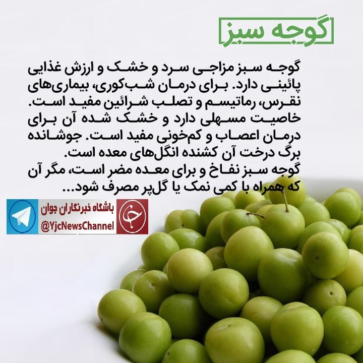 خواص درمانی گوجه&zwnj; سبز یکی از میوه&zwnj;های فصل بهار+اینفوگرافی
