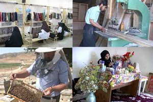 بهره مندی 20 هزار نفر از خدمات کمیته امداد در استان زنجان