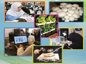 در نظرگرفتن3 میلیارتومان برای مشاغل خانگی استان مرکزی