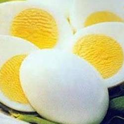تخم مرغ و یک دنیا خاصیت